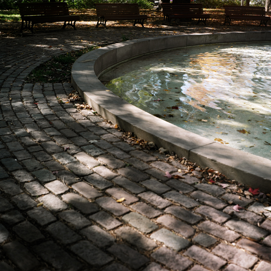 L'automne / St-Henri, Montréal, 2008 / Annie-Ève Dumontier