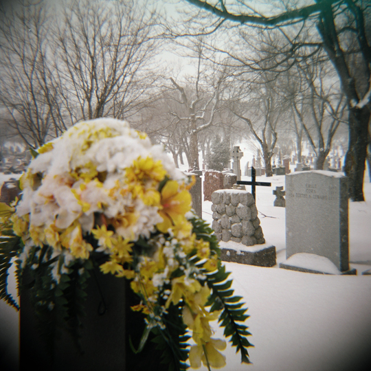 Cimetière Notre Dame des neiges / Mtl, 2009 / Annie-Ève Dumontier