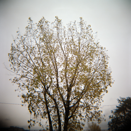 Automne / Montréal, p.Q 2009 / Annie-Ève Dumontier